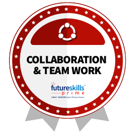 Collaboration & Team Work