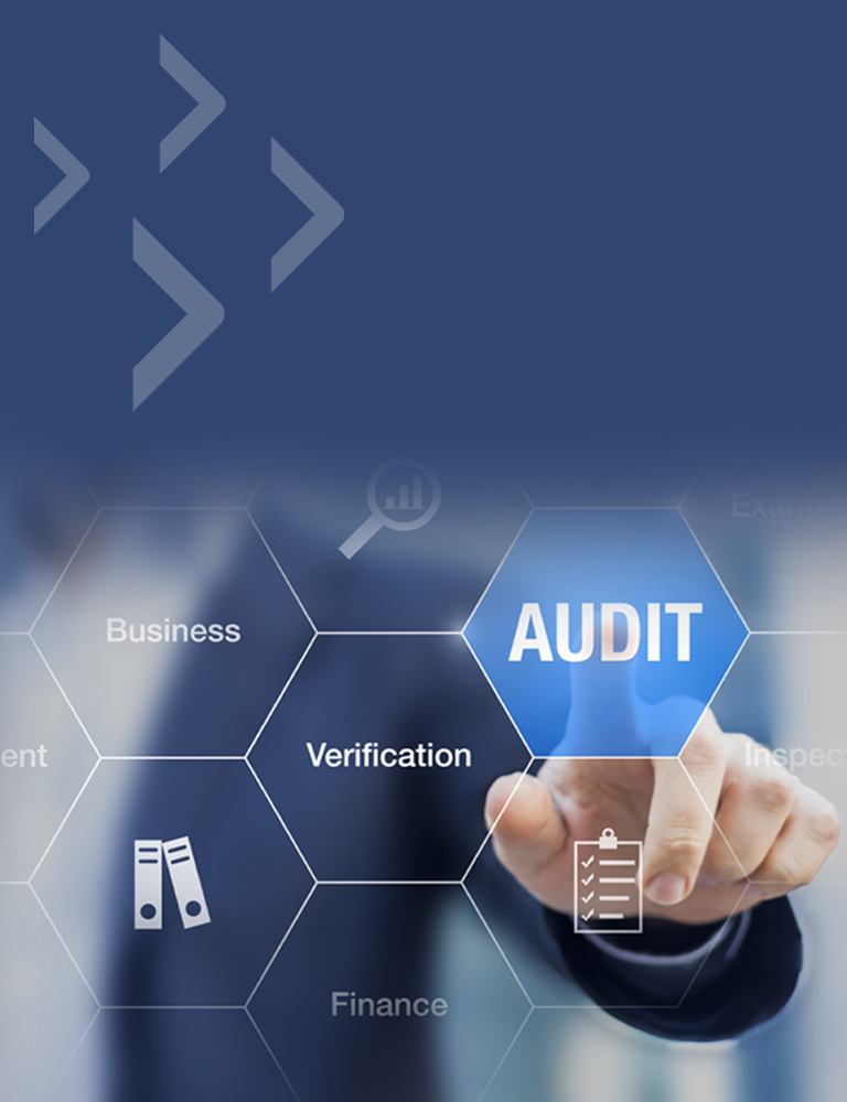 Information Security Audits (SKO 0904)