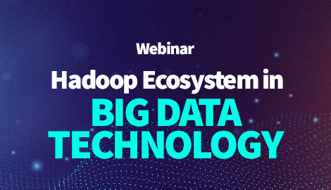 Hadoop Ecosystem in Big Data Technology