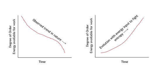 The Law of Entropy in context of India’s growth story – Innovation and Skill Building